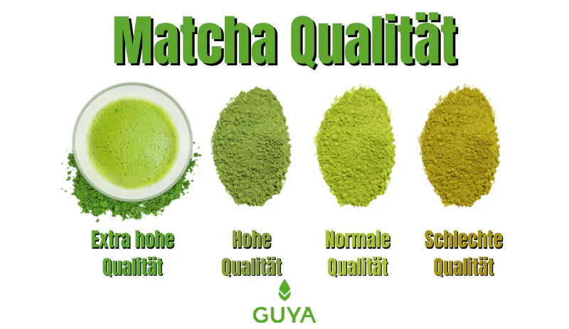 Woran erkennt man guten Matcha? Tipps für die richtige Auswahl