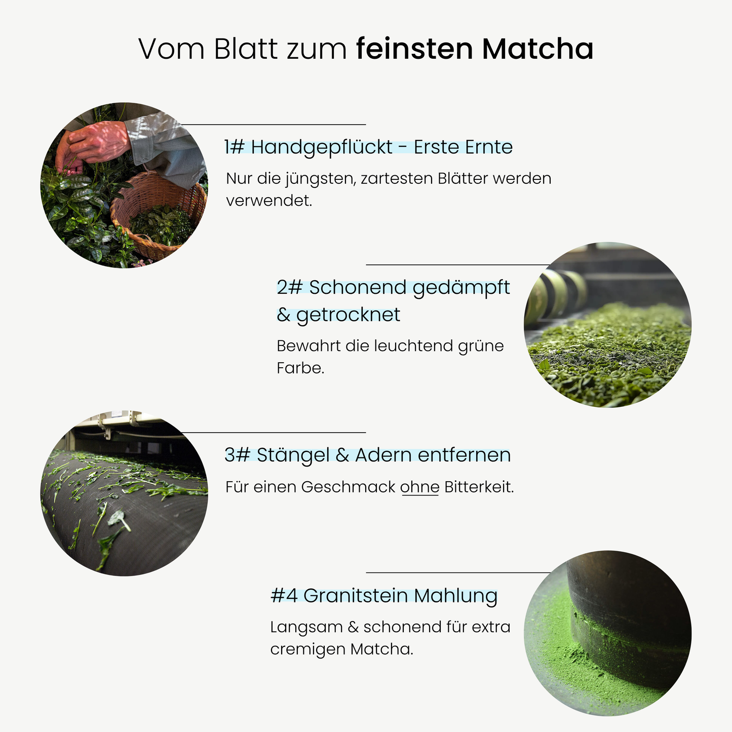 Ceremonial Grade Matcha