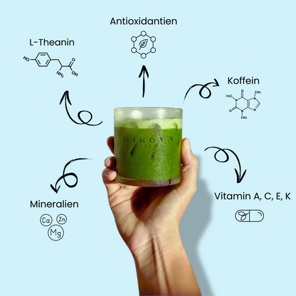 Matcha To-Go Set