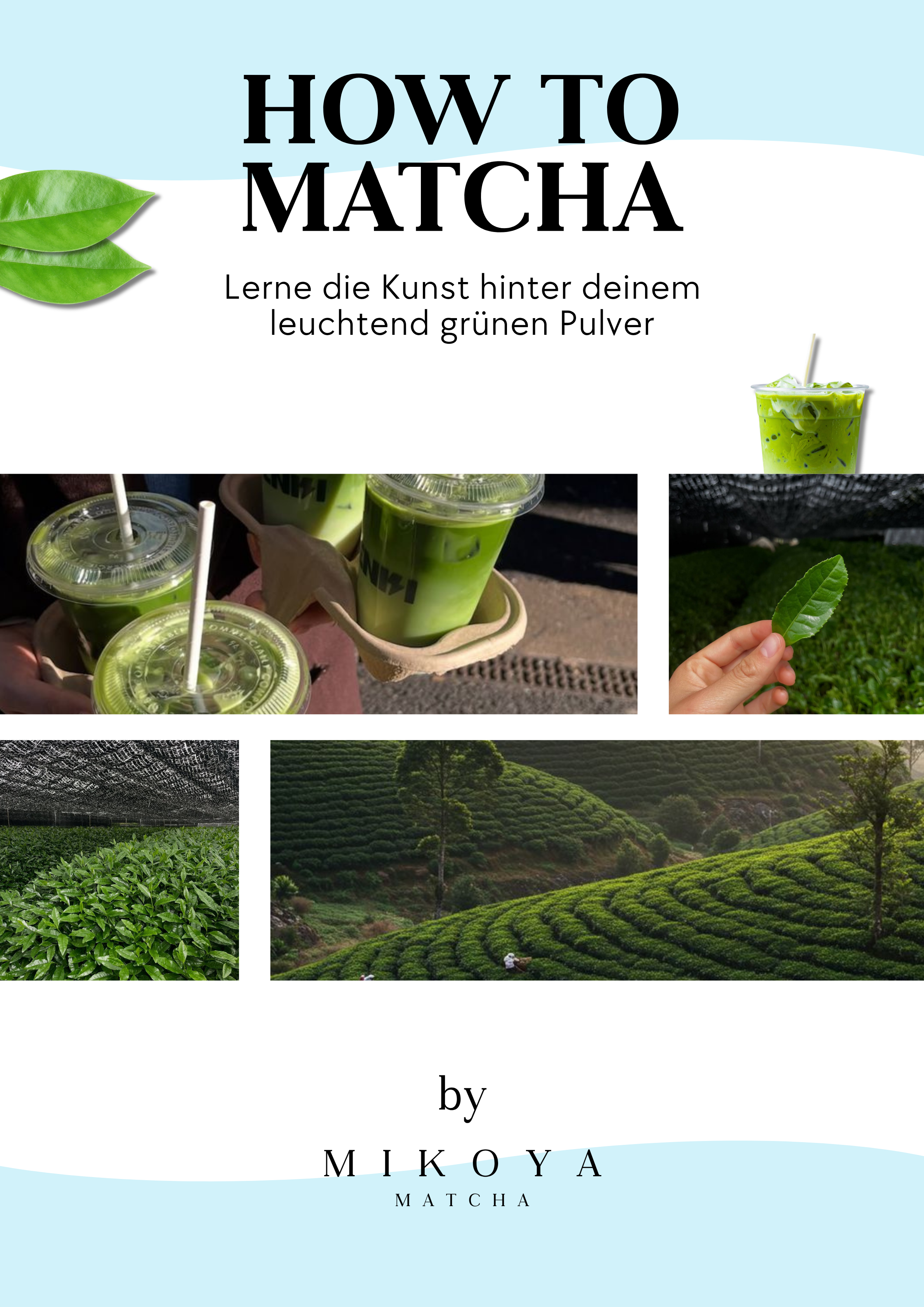 How to Matcha & Rezeptbuch